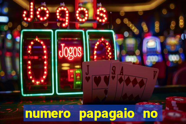 numero papagaio no jogo do bicho